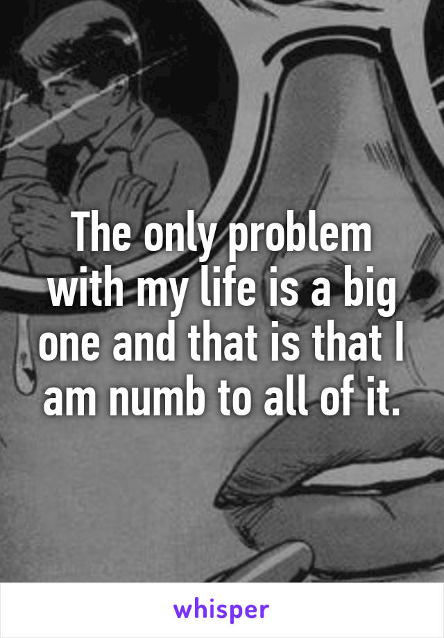 The only problem with my life is a big one and that is that I am numb to all of it.
