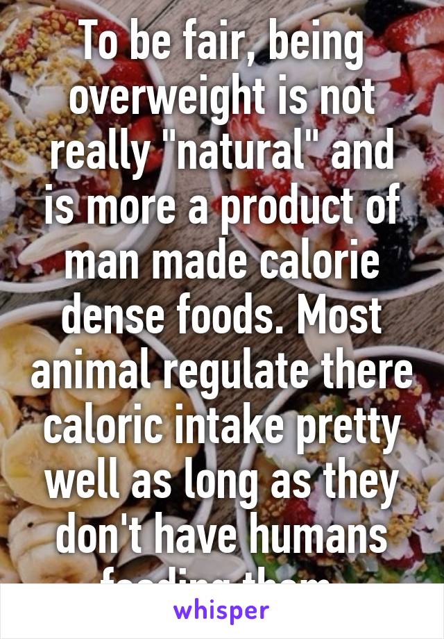 To be fair, being overweight is not really "natural" and is more a product of man made calorie dense foods. Most animal regulate there caloric intake pretty well as long as they don't have humans feeding them.