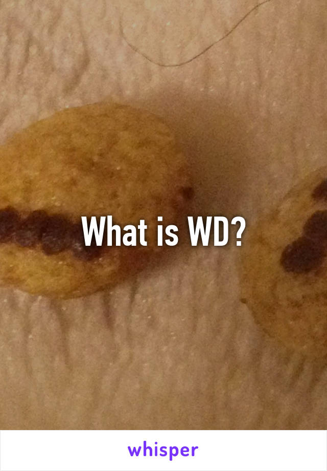 What is WD?