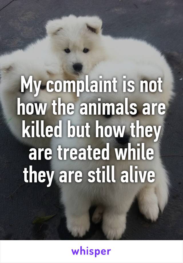 My complaint is not how the animals are killed but how they are treated while they are still alive 