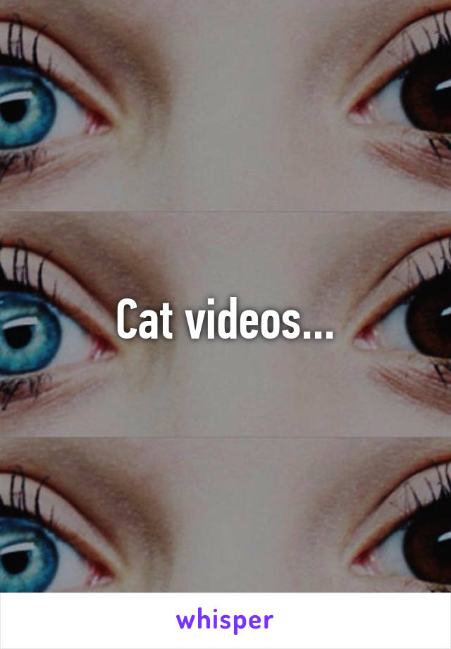 Cat videos...