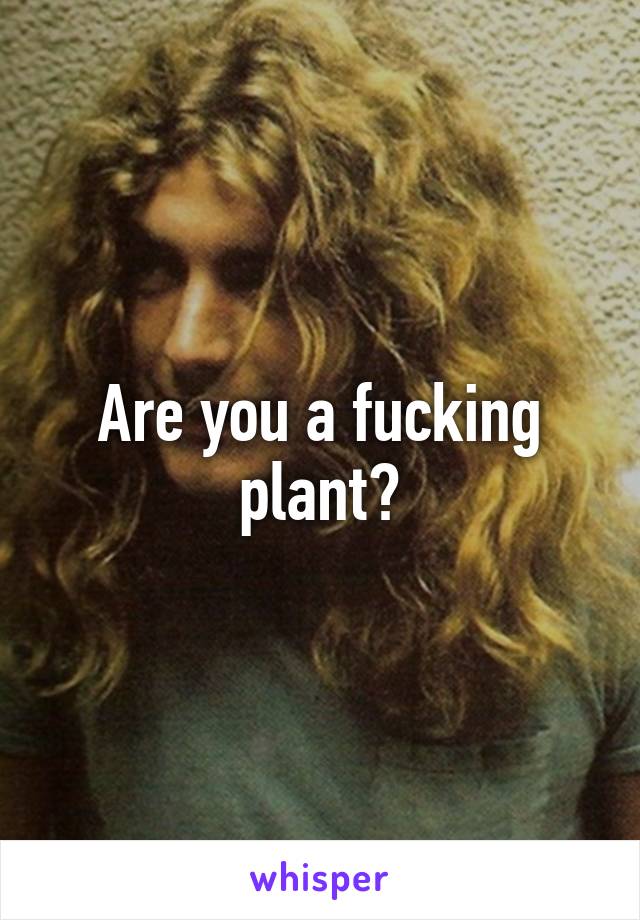 Are you a fucking plant?