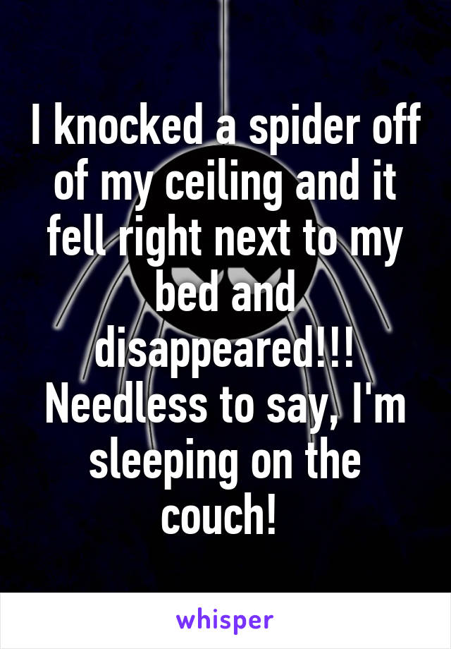 I knocked a spider off of my ceiling and it fell right next to my bed and disappeared!!! Needless to say, I'm sleeping on the couch! 