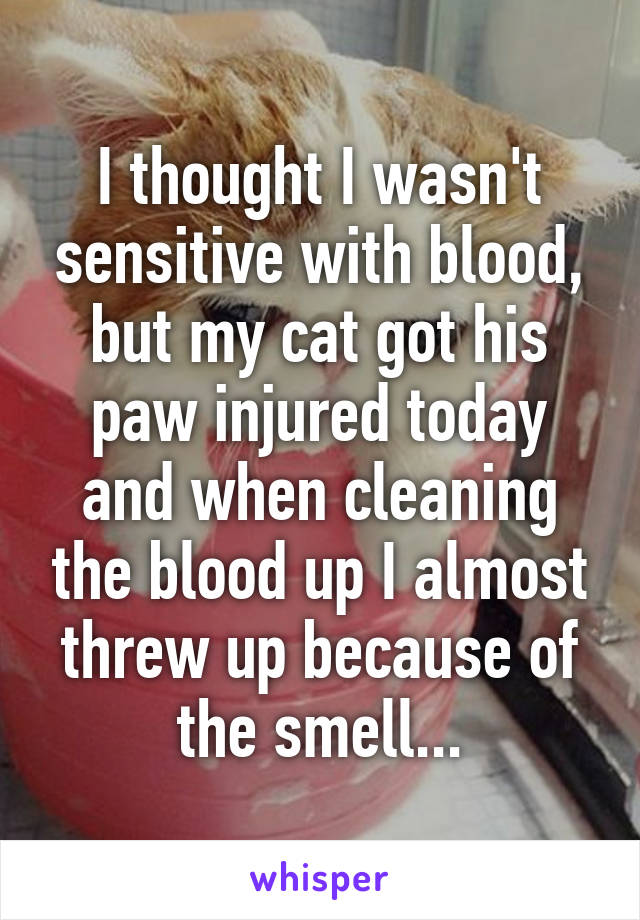 I thought I wasn't sensitive with blood, but my cat got his paw injured today and when cleaning the blood up I almost threw up because of the smell...