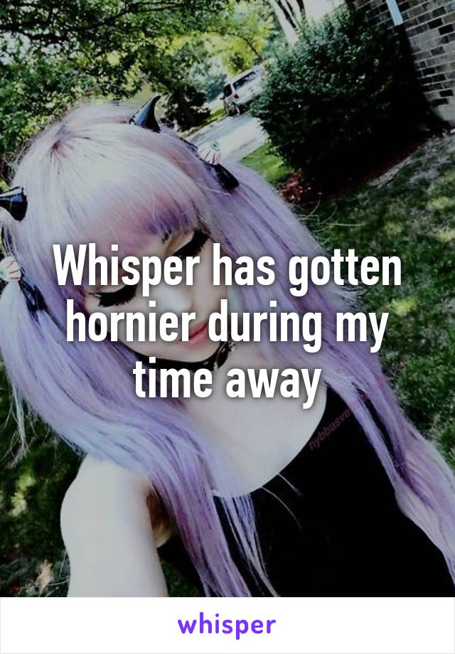 Whisper has gotten hornier during my time away