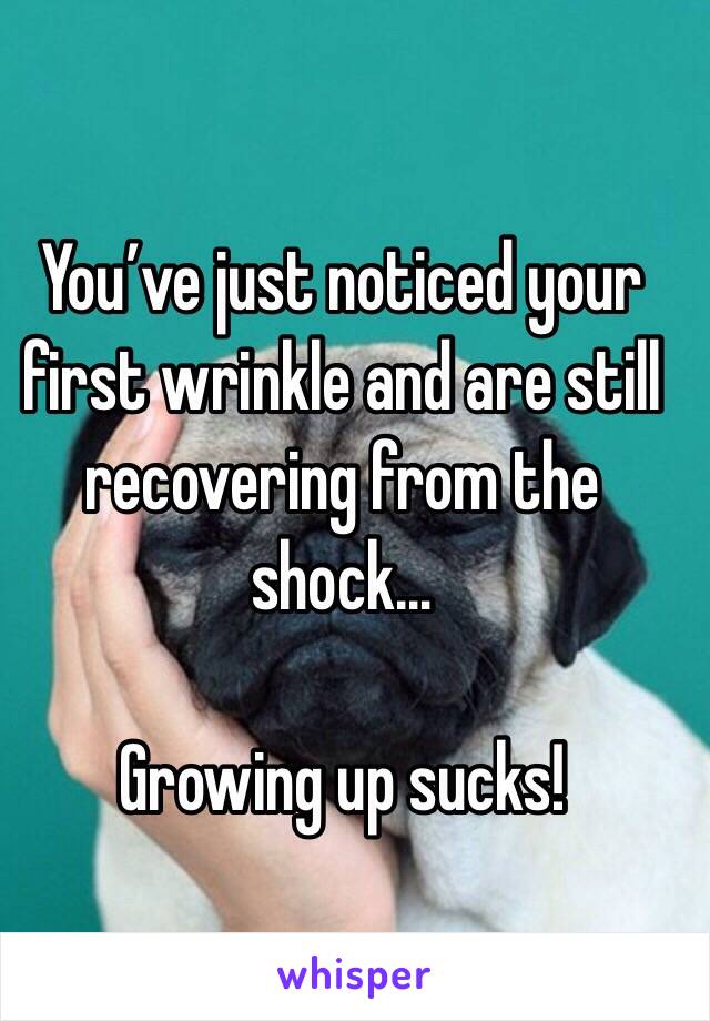 You’ve just noticed your first wrinkle and are still recovering from the shock…

Growing up sucks!