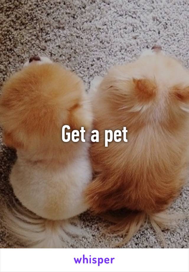 Get a pet