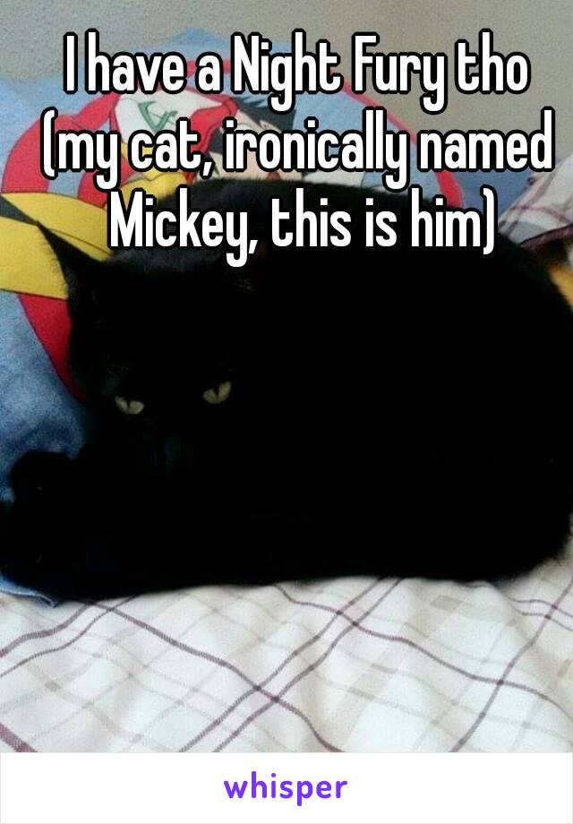 I have a Night Fury tho
(my cat, ironically named Mickey, this is him)