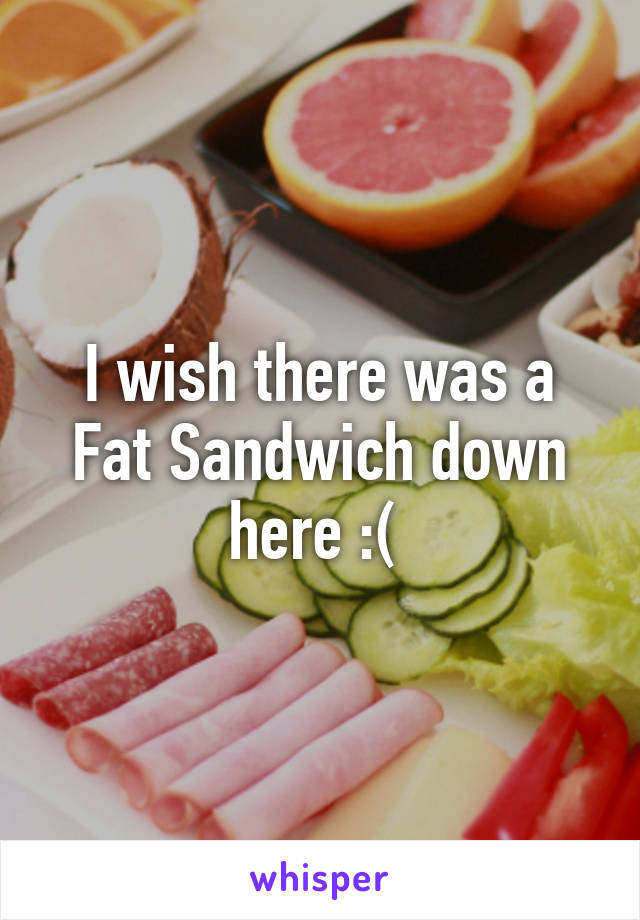 I wish there was a Fat Sandwich down here :( 