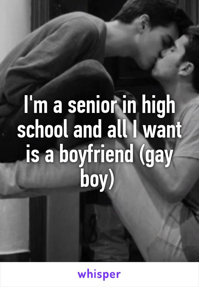 I'm a senior in high school and all I want is a boyfriend (gay boy) 