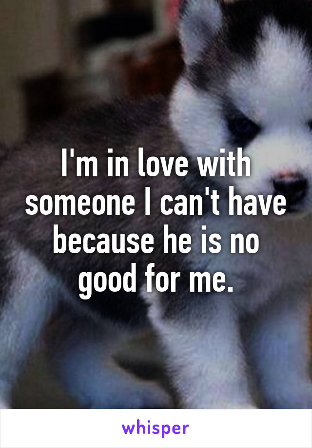 I'm in love with someone I can't have because he is no good for me.