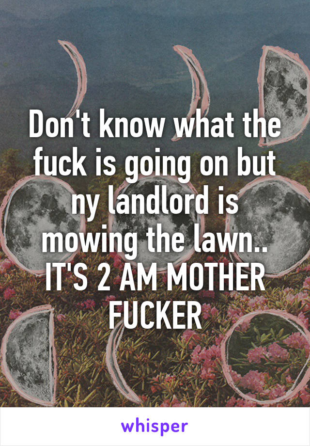 Don't know what the fuck is going on but ny landlord is mowing the lawn.. IT'S 2 AM MOTHER FUCKER