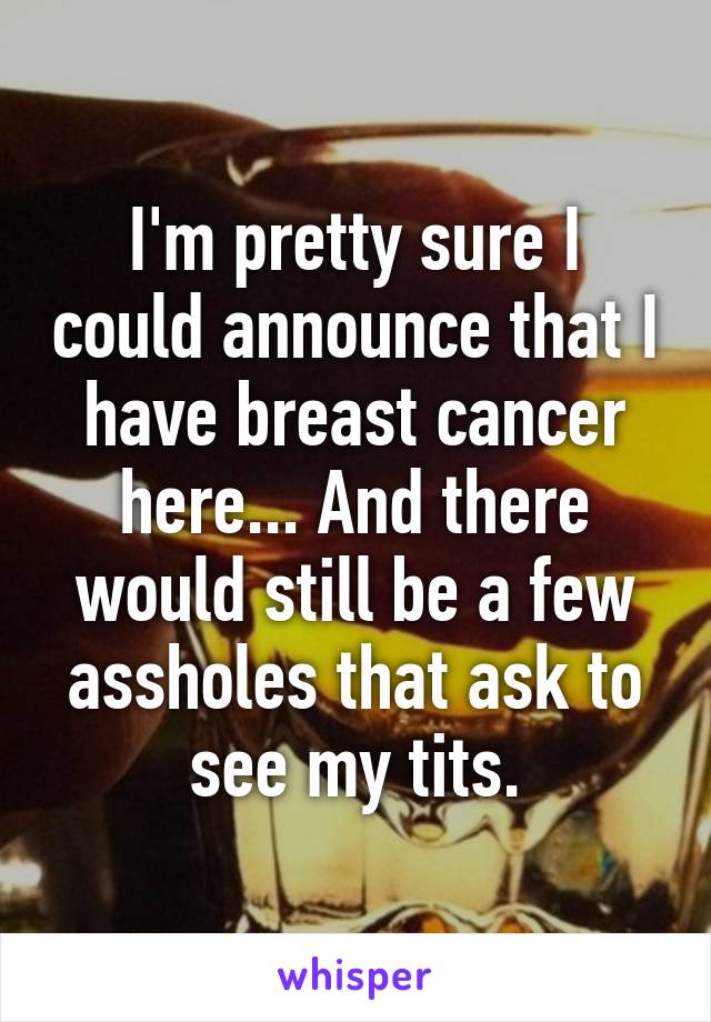 I'm pretty sure I could announce that I have breast cancer here... And there would still be a few assholes that ask to see my tits.