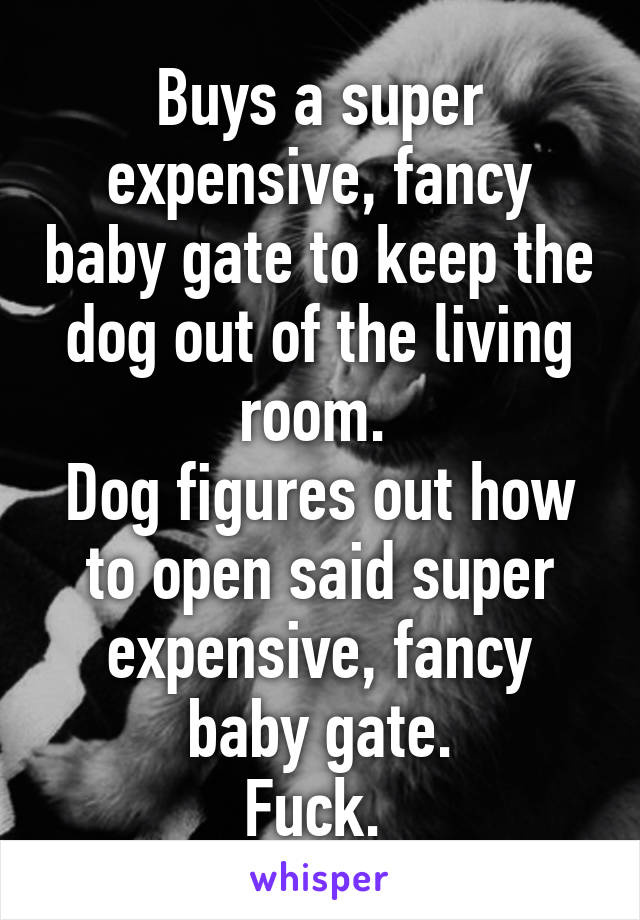 Buys a super expensive, fancy baby gate to keep the dog out of the living room. 
Dog figures out how to open said super expensive, fancy baby gate.
Fuck. 