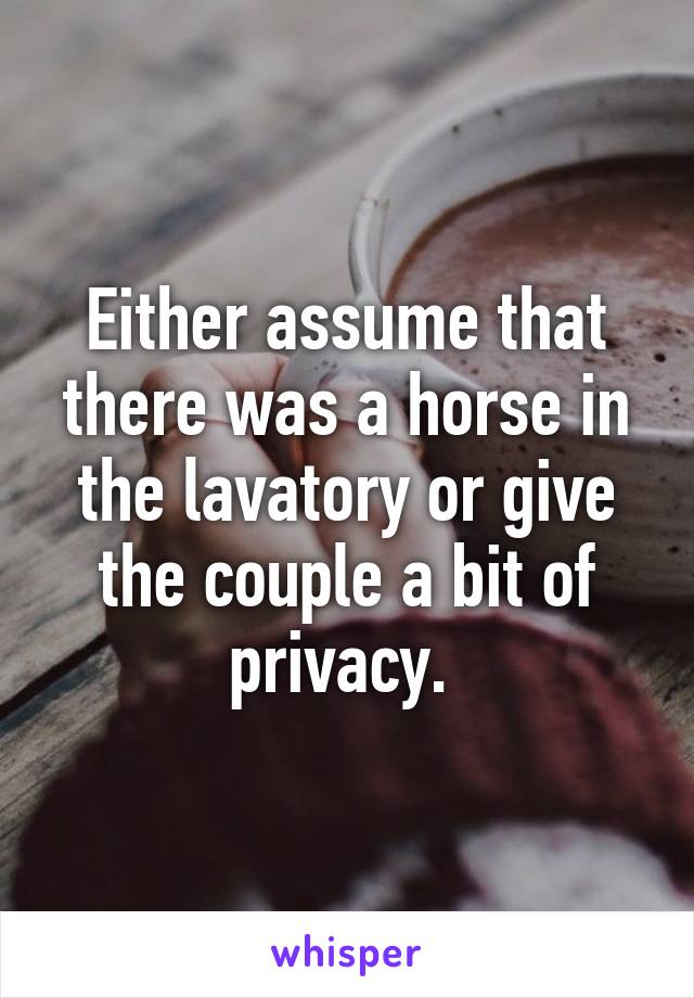 Either assume that there was a horse in the lavatory or give the couple a bit of privacy. 