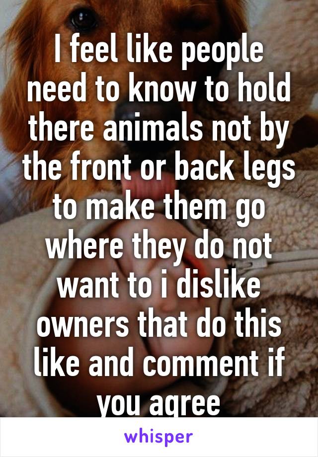 I feel like people need to know to hold there animals not by the front or back legs to make them go where they do not want to i dislike owners that do this like and comment if you agree