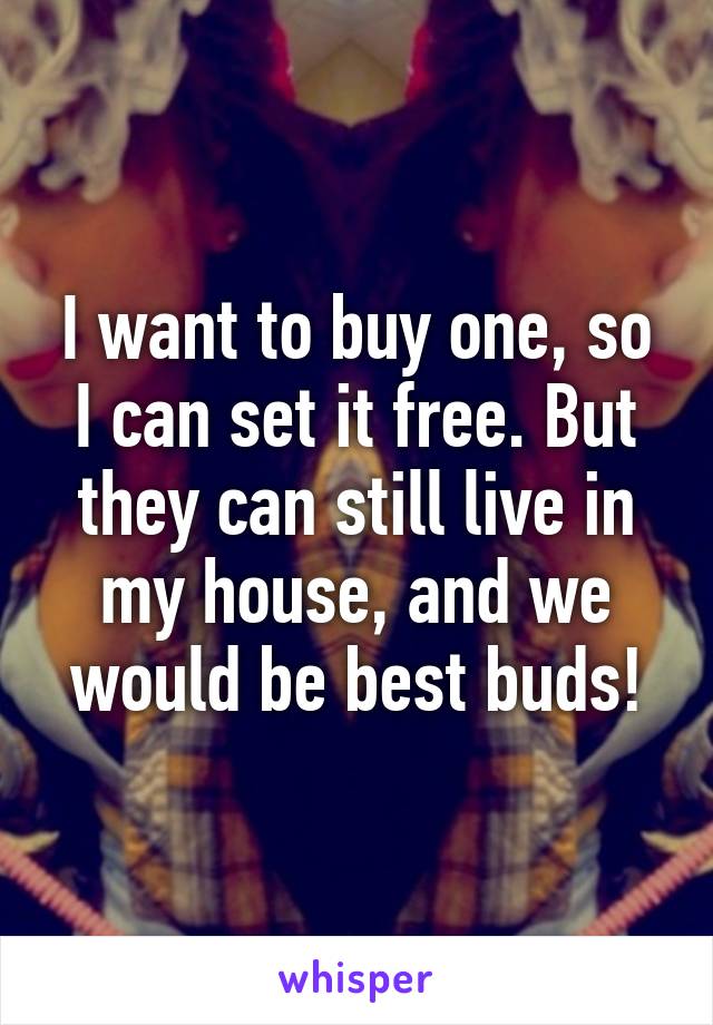 I want to buy one, so I can set it free. But they can still live in my house, and we would be best buds!