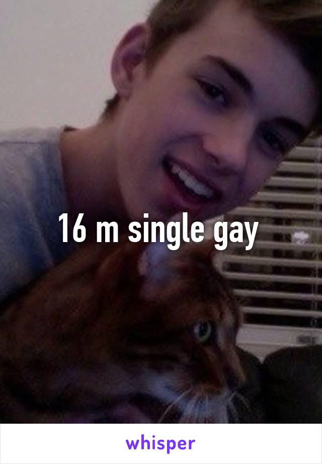 16 m single gay 