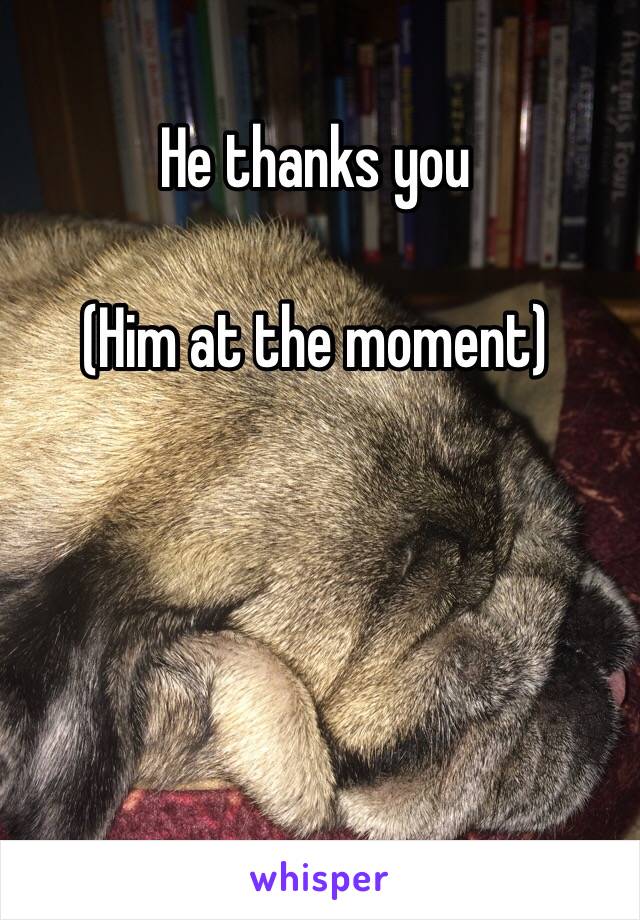 He thanks you

(Him at the moment)