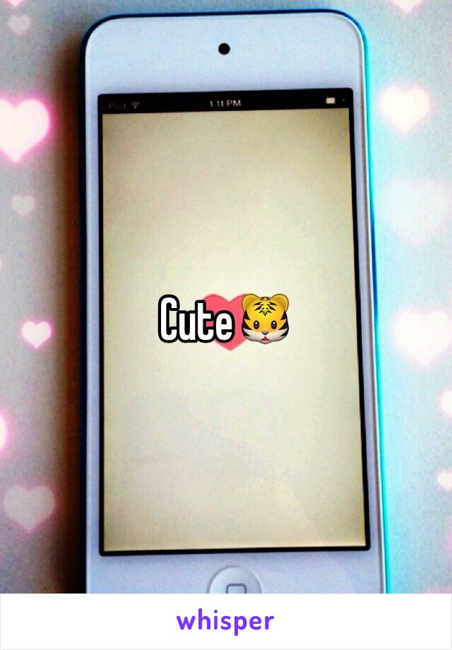 Cute🐯