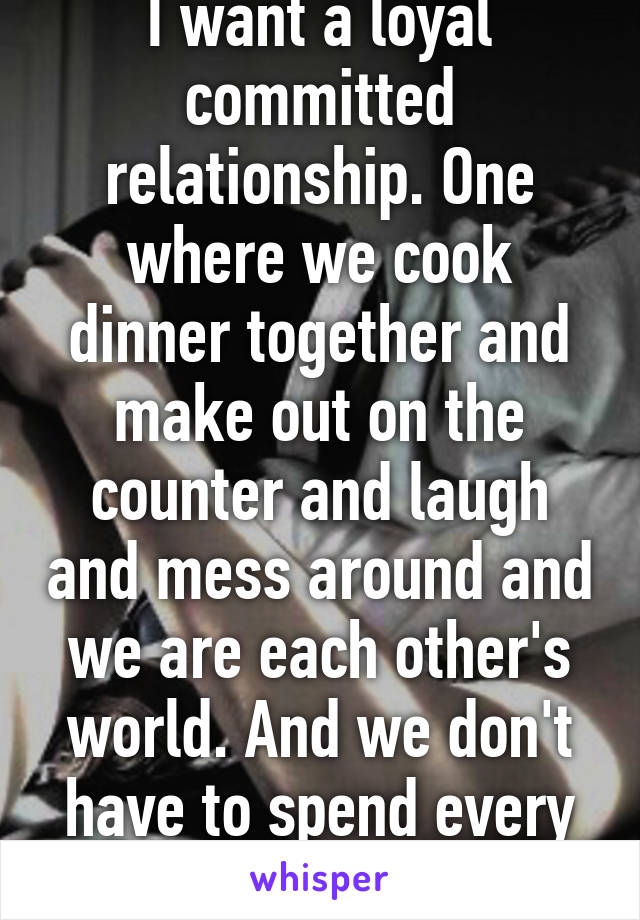 I want a loyal committed relationship. One where we cook dinner together and make out on the counter and laugh and mess around and we are each other's world. And we don't have to spend every minute together 