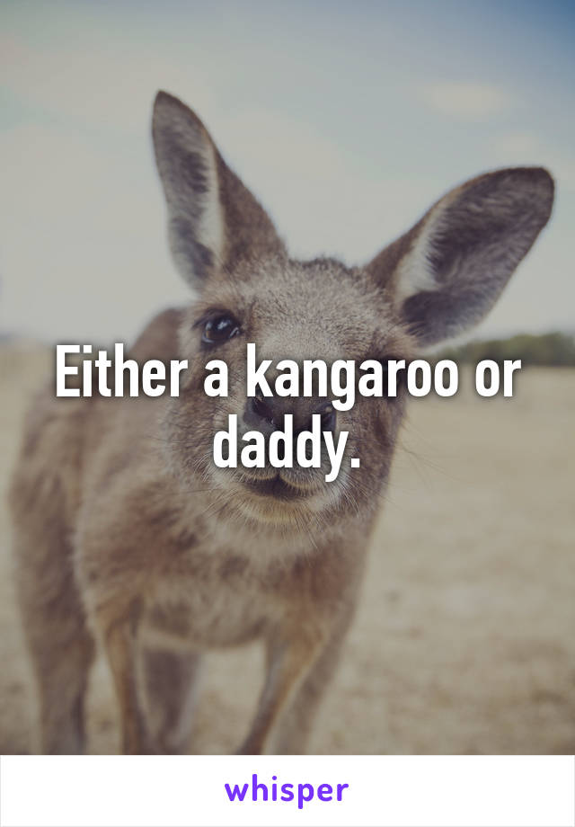 Either a kangaroo or daddy.