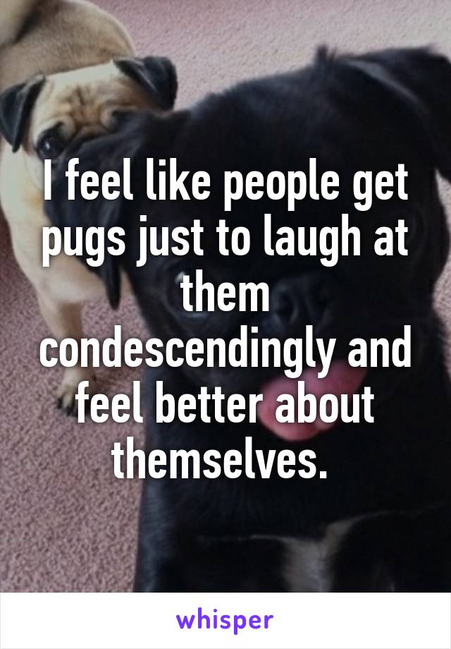 I feel like people get pugs just to laugh at them condescendingly and feel better about themselves. 