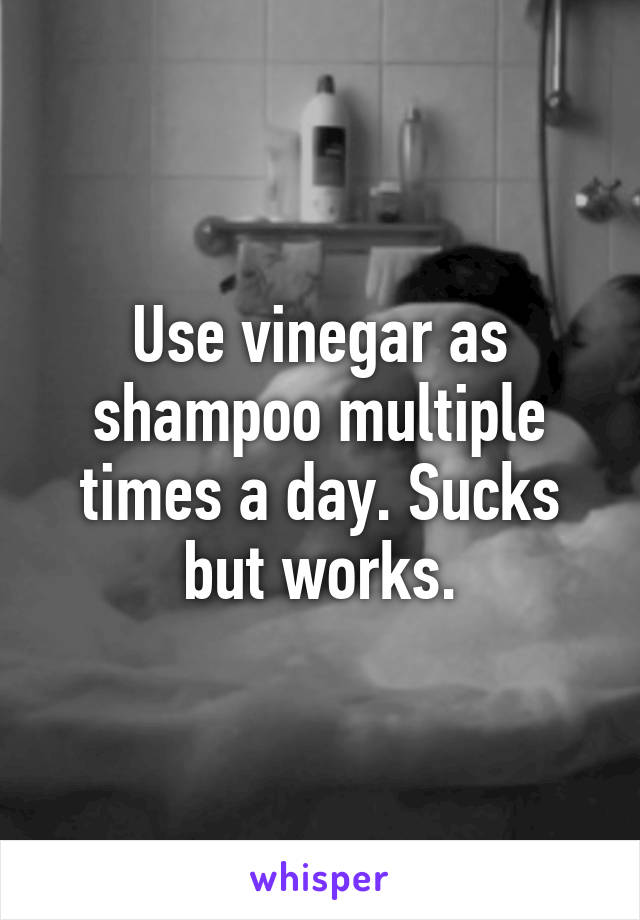 Use vinegar as shampoo multiple times a day. Sucks but works.