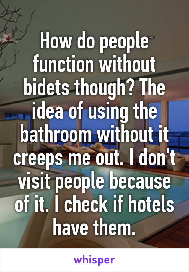 How do people function without bidets though? The idea of using the bathroom without it creeps me out. I don't visit people because of it. I check if hotels have them.