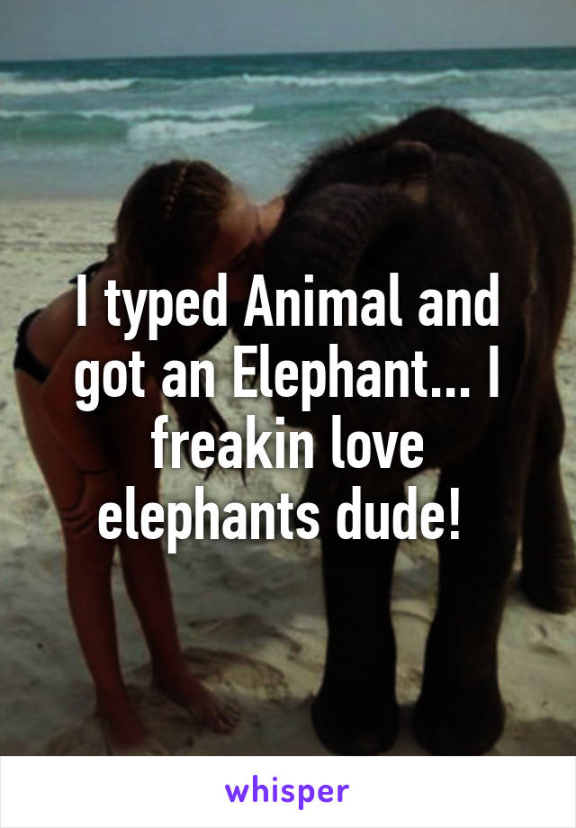 I typed Animal and got an Elephant... I freakin love elephants dude! 