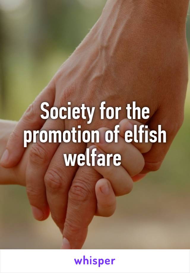 Society for the promotion of elfish welfare 