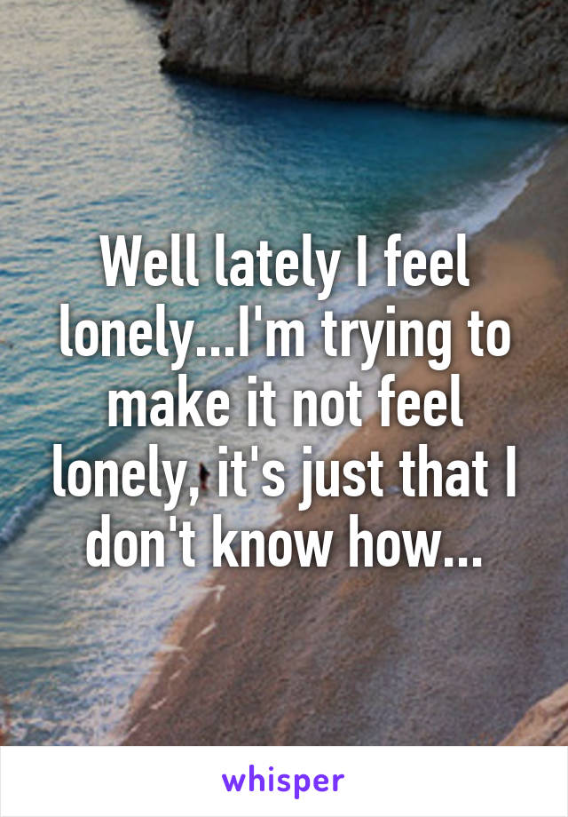 Well lately I feel lonely...I'm trying to make it not feel lonely, it's just that I don't know how...