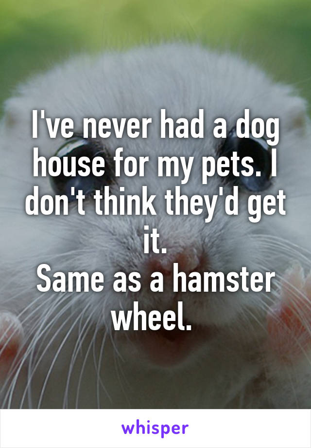 I've never had a dog house for my pets. I don't think they'd get it.
Same as a hamster wheel. 