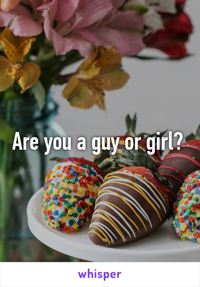 Are you a guy or girl? 