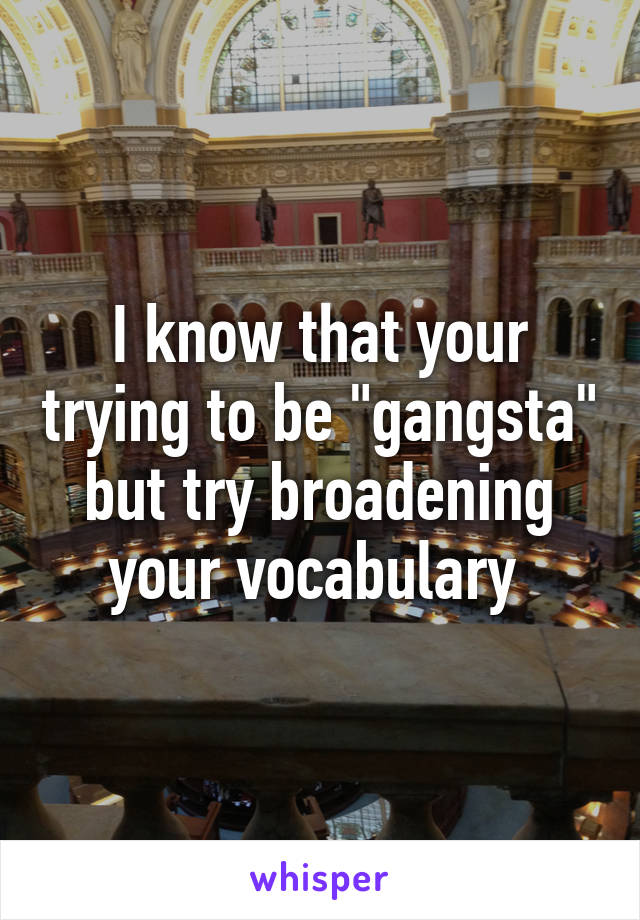 I know that your trying to be "gangsta" but try broadening your vocabulary 