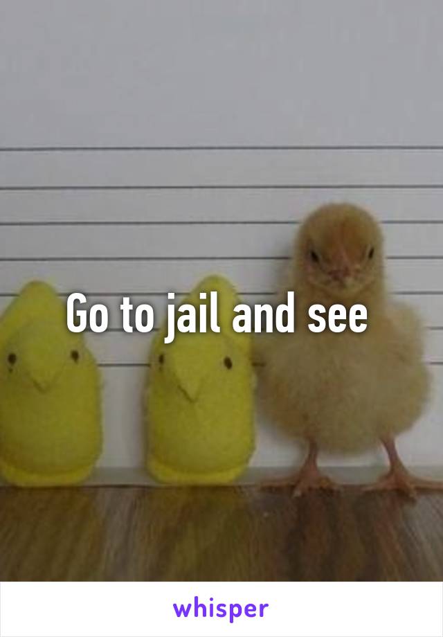 Go to jail and see 