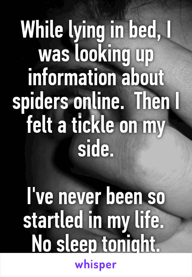 While lying in bed, I was looking up information about spiders online.  Then I felt a tickle on my side.

I've never been so startled in my life.  No sleep tonight.