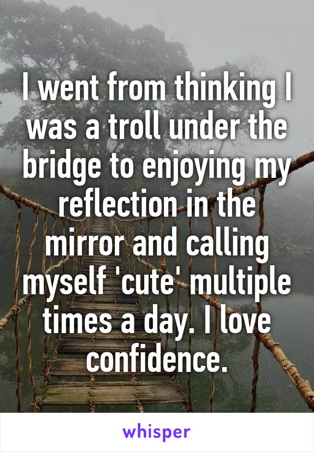 I went from thinking I was a troll under the bridge to enjoying my reflection in the mirror and calling myself 'cute' multiple times a day. I love confidence.