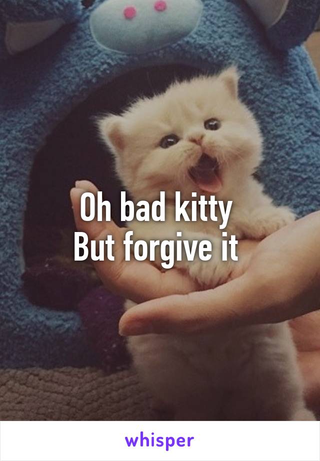 Oh bad kitty 
But forgive it 