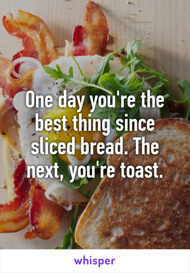 One day you're the best thing since sliced bread. The next, you're toast.