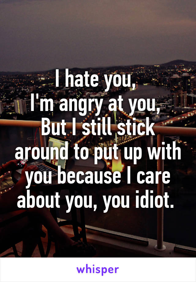 I hate you, 
I'm angry at you, 
But I still stick around to put up with you because I care about you, you idiot. 