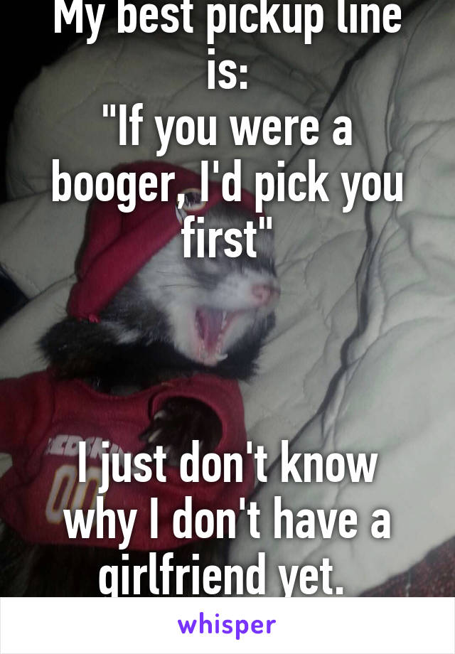 My best pickup line is:
"If you were a booger, I'd pick you first"



I just don't know why I don't have a girlfriend yet. 
