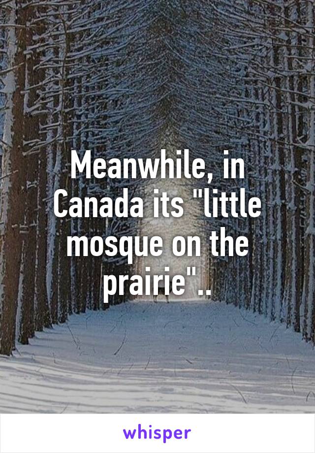 Meanwhile, in Canada its "little mosque on the prairie"..