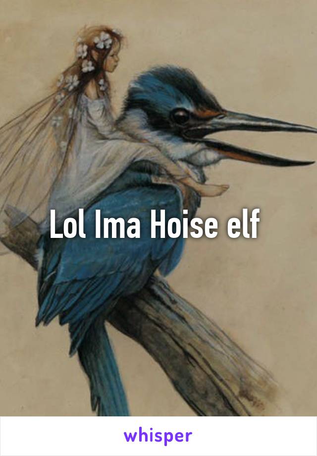 Lol Ima Hoise elf 