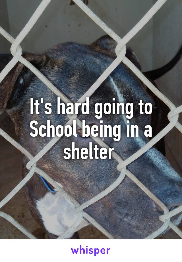 It's hard going to School being in a shelter 