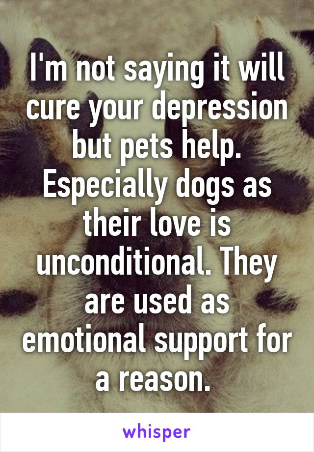I'm not saying it will cure your depression but pets help. Especially dogs as their love is unconditional. They are used as emotional support for a reason. 