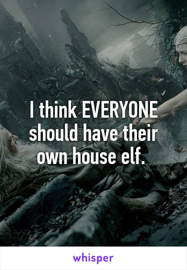 I think EVERYONE should have their own house elf. 