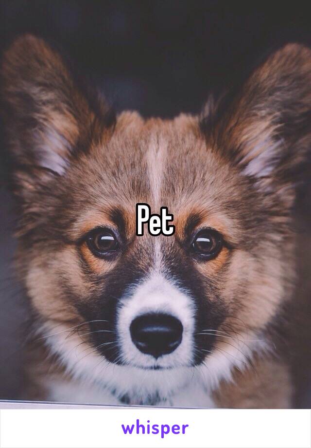 Pet