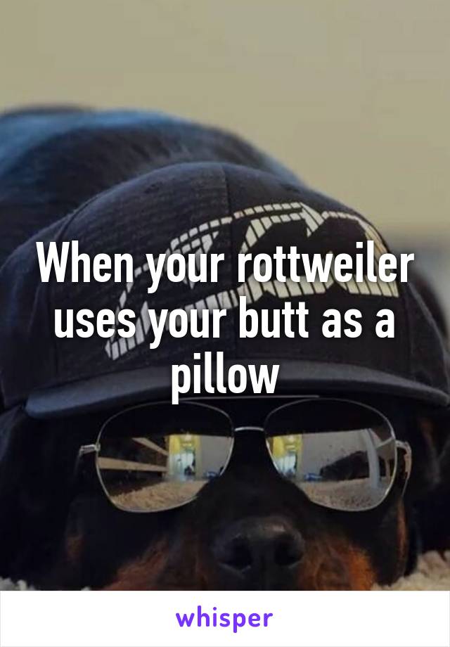 When your rottweiler uses your butt as a pillow