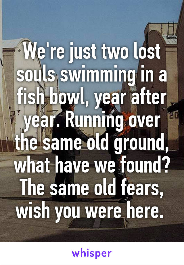 We're just two lost souls swimming in a fish bowl, year after year. Running over the same old ground, what have we found? The same old fears, wish you were here. 